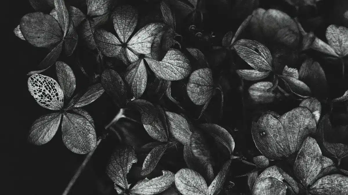 Gedenkblumen und Kerzen auf einem Tisch als Zeichen des Gedenkens
